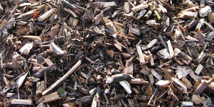 Ramial Chipped Wood: the Clue to a Sustainable Fertile Soil