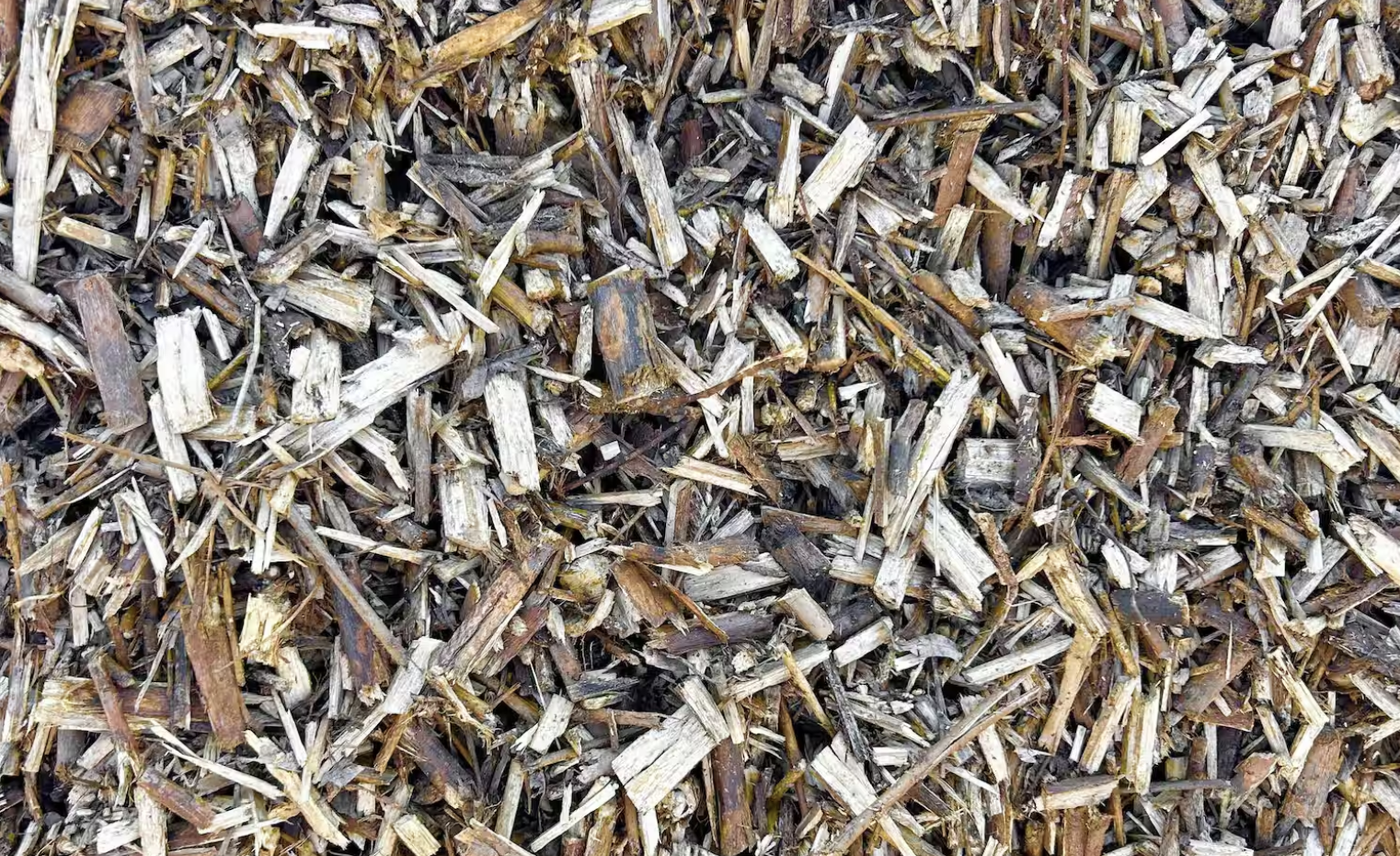 Ramial Chips