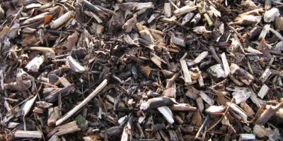 Ramial Chipped Wood: the Clue to a Sustainable Fertile Soil
