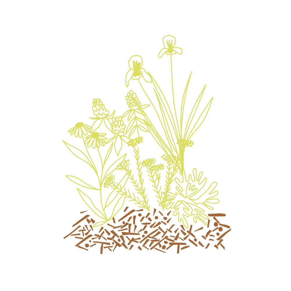Ramo branch